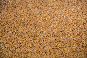 Malt