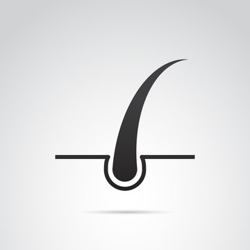 Hair vector icon.