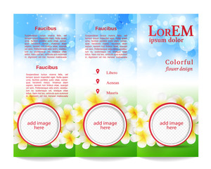 Tri-fold Brochure Template.Corporate business background or cover design can be use for publishing, print and presentation