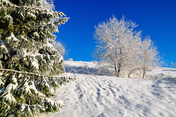 panoramic view of snow scape in winterberg, germany