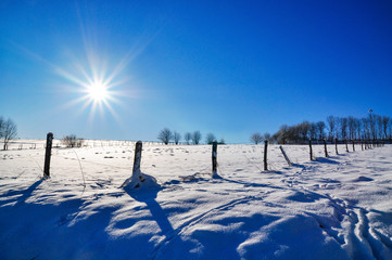 back light panoramic view of snow scape in winterberg, germany