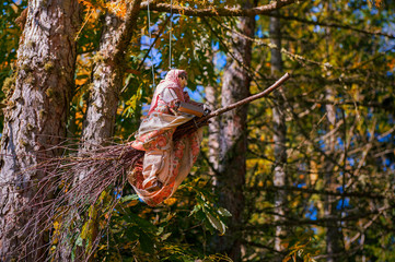 Strega nel bosco