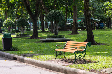 park,outdoor,environment