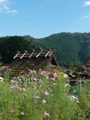 萱葺きの里　美山の秋　京都