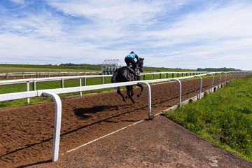 Race Horse Jockey Training Runs 