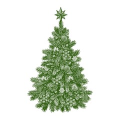 Christmas tree, detailed vintage vector illustration