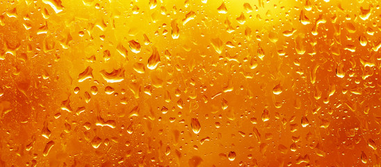 Rainy wet red orange fall eco seasonal  natural background with water drops