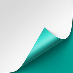 Vector Curled corner of White paper with shadow Close up Isolated on Turquoise Background