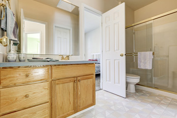 Fototapeta na wymiar Wooden vanity cabinet, glass shower and a toilet