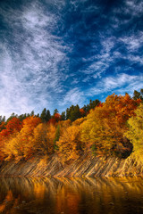 autumn forest by the river