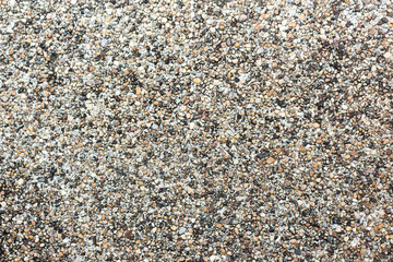 Texture with small gravel from limestone.