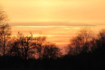 Abendstimmung