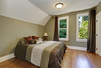 Vaulted ceiling and green olive walls. Bedroom interior