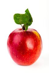 apples, apple on a white background
