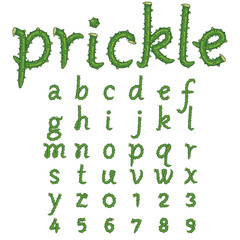Thorn alphabet
