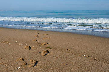 Footprints in the sand. black sea