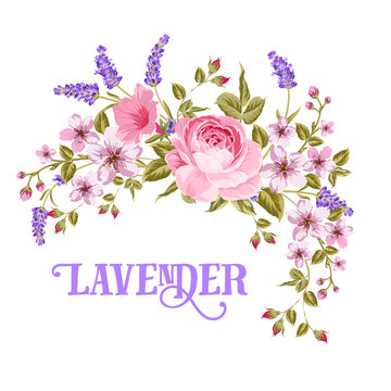 The Lavender sign. Garland of red rose, pink sakura and violet lavender flowers in vintage style. Card with custom sign Lavender and flower frame isolated over white background. Vector illustration.