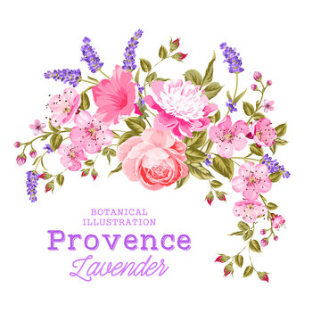 The lavender elegant card. Botanical illustration of provence lavender. Bouquet of red flowers and lavender in vintage style. Card with custom sign and place for your text. Vector illustration.