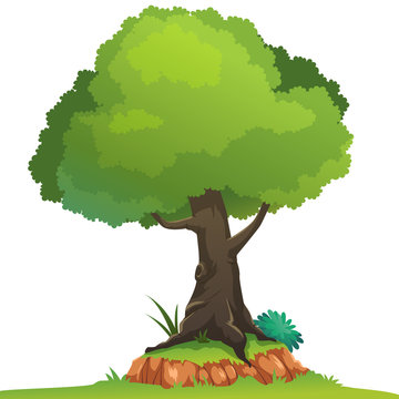Tree cartoon