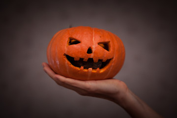 rodent in Halloween pumpkin