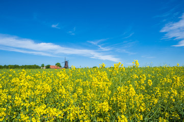 Blick zum Mühlen und Landwirtschaftsmuseum in Lemkenhafen