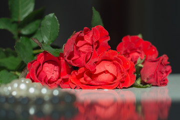 Bouquet of red roses and pearl necklace on the reflecting table