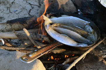 we fry fish, fish is fried on a frying pan, cooking outdoors, tourist's breakfast