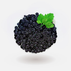 Vector black caviar with leaves of parsley