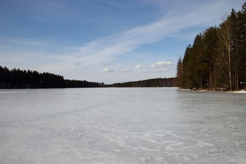 frozen lake in the forest