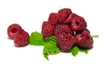 fresh raspberries
