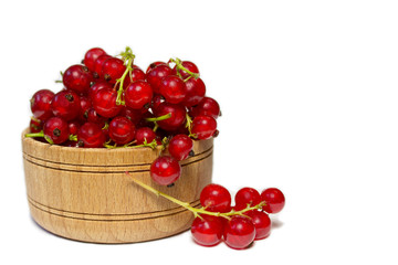 red currant