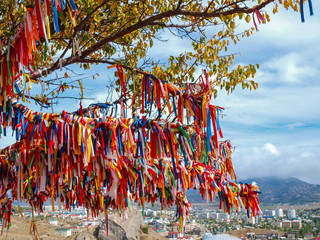Wish Tree with bright ribbons against the walls of the ancient fortress in Sudak