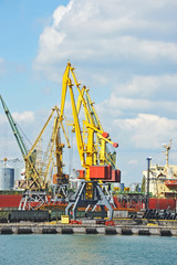 Port cargo crane and container