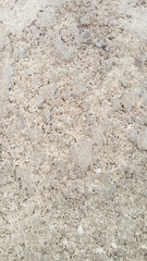 Cement wall texture and background