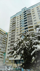 First Snow in the city