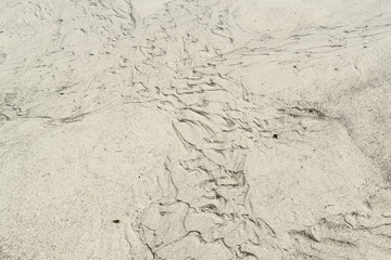 wet beach scenery