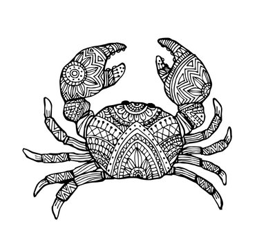Vector hand draw of crab