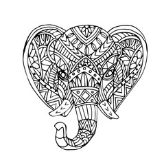 Vector hand draw of Elephant head