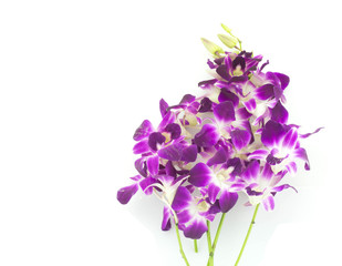 Fototapeta na wymiar bouquet of purple orchids isolated