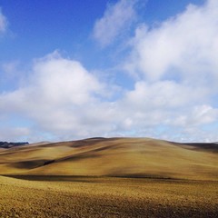 Obraz premium val d'orcia