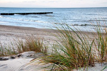 Fototapeta na wymiar Coast of the Baltic Sea