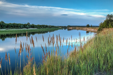 Summer river landscape in the evening