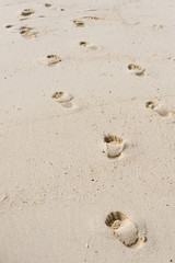 Way of human footprints on the beach sand