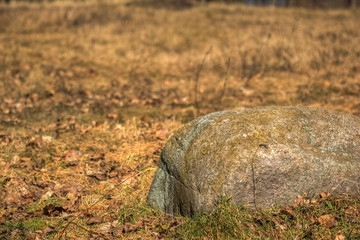 Huge boulders in the dry yellow grass
