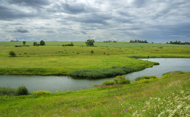 Fototapeta na wymiar Summer landscape.River Upa in Tula region,Russia. 