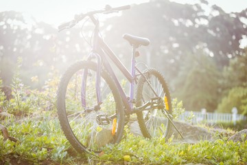 Bicycle parked on grass