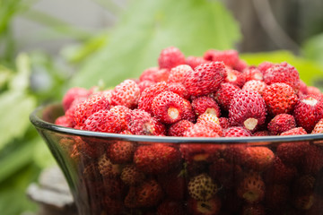 Glass bowl with ripe strawberries close up