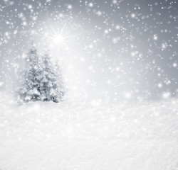 Verschneite Tannenbäume