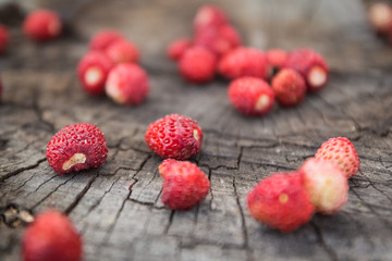 Berries ripe strawberry closeup