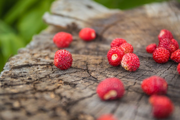 Vintage wooden surface with wild strawberries closeup